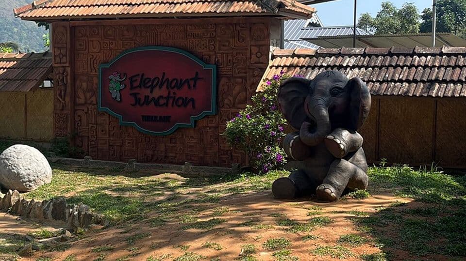 A Place to Connect with Nature and Elephants